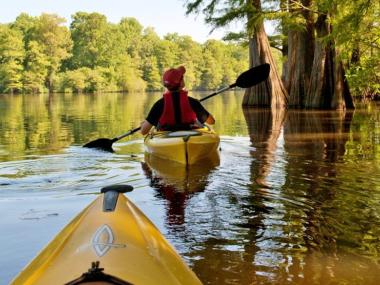 Kayaking Among Flooded Cypress at Mississippi River State Park