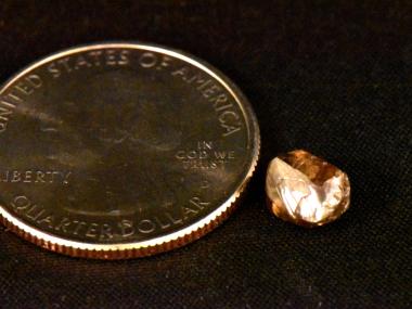 Lady Beatrice brown diamond next to a quarter to show scale