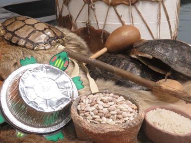 Music-makers such as gords and turtle shell rattles at Plum Bayou Mounds Archeological State Park