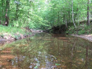 A panoramic view looking down the creek’s banks, near the park’s Big Ben Nature Trail 