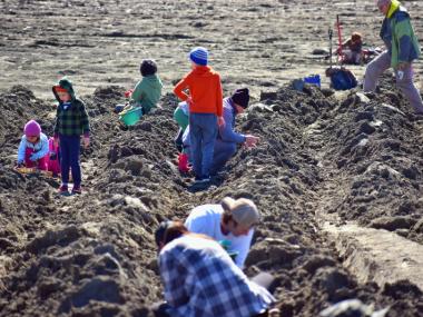 Crater of Diamonds State Park Search Field