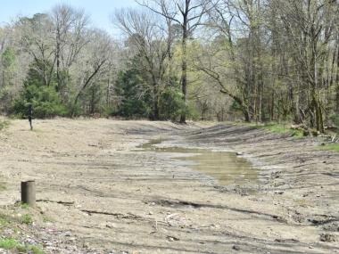 mud puddle at Crater of Diamonds State Park
