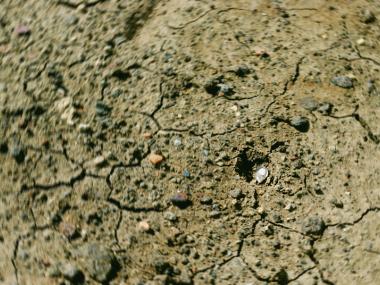 Diamond on surface at Crater of Diamonds State Park