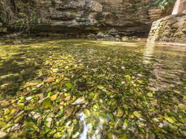 Withrow Springs State Park