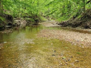 Village Creek with green trees around the banks
