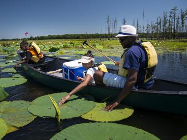 Family canoeing at Cane Creek and touching the lilly pads