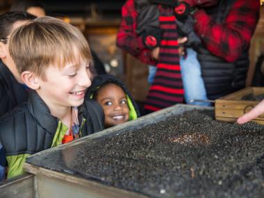 Searching for a diamond at Crater of Diamonds State Park.