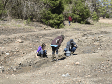 Eco-friendly solutions for take home containers