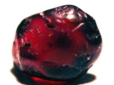 Finding garnets at Crater of Diamonds