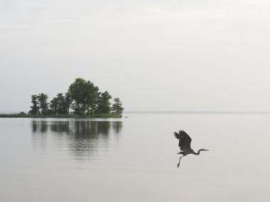 File photo of Millwood Lake. Photo by Kirk Jordan.