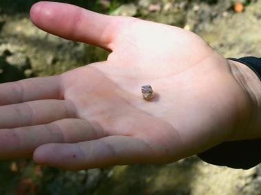 Guest from New York Discovers 2.3 Carat Diamond at Arkansas’ Crater of Diamonds State Park 
