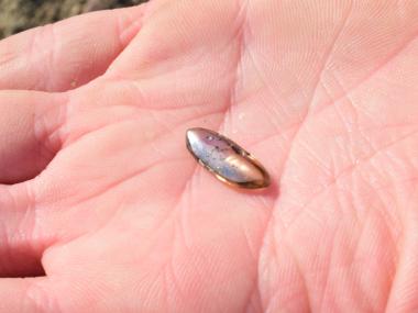 Oklahoma family finds large brown diamond at Arkansas' Crater of Diamonds State Park 