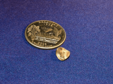 Indiana visitor unearths 2.71-carat “Hope Diamond” at Crater of Diamonds State Park