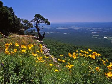 Mount Magazine Camping 
