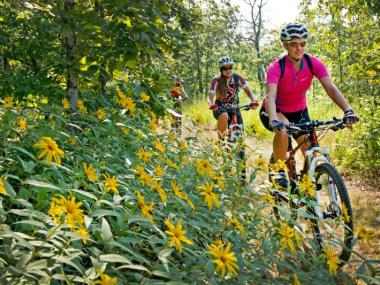 Things to Do at Mount Magazine State Park Arkansas State 