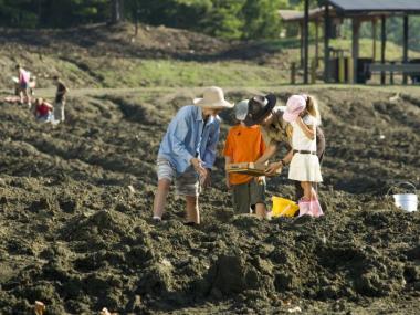 Why Can Diamonds Be Found at Crater of Diamonds State Park