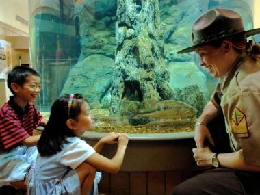 Lake Dardanelle State Park