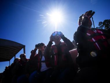 Eagle Tours on DeGray Lake