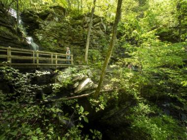 Photo of trail at Devil's Den State Park