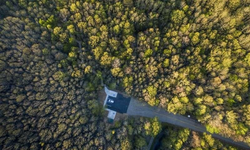 Louisiana Purchase State Park