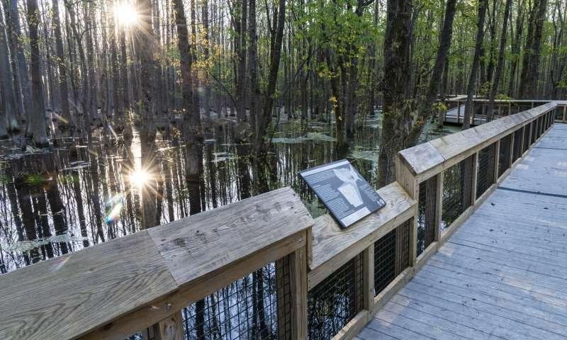 Louisiana Purchase State Park