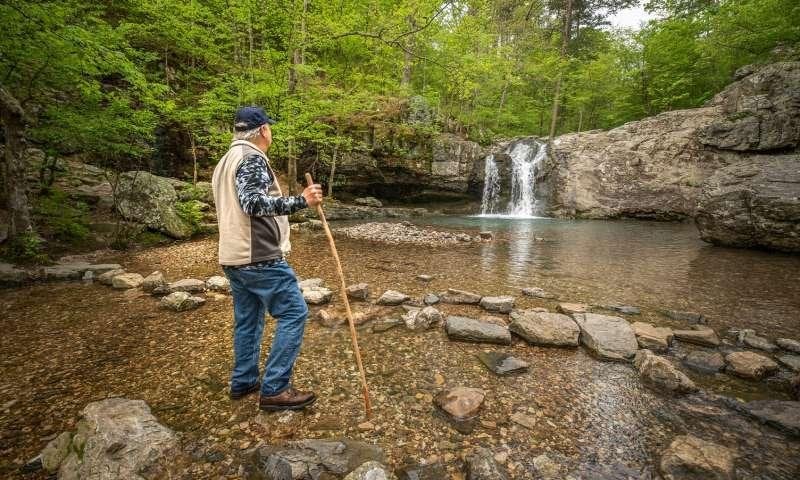 Lake Catherine Waterfall Trail