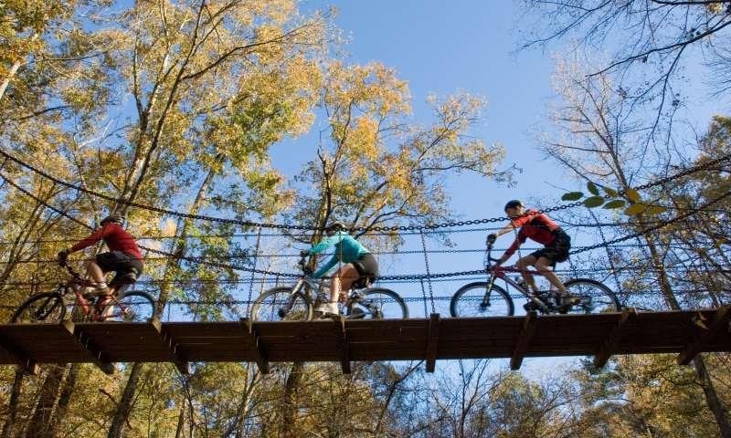 There are 3 suspension bridges along the Cane Creek Lake Multi-use Trail