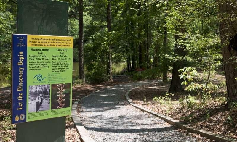 Explore Logoly State Park