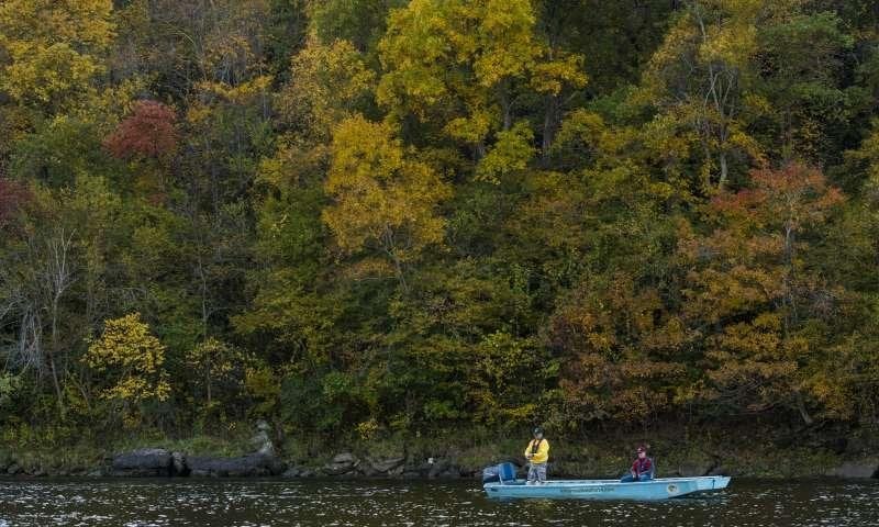 Bull Shoals-White River State Park is an angler's paradise