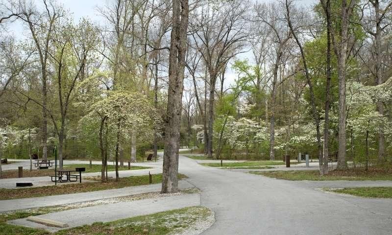 Spring camping at Withrow Springs State Park