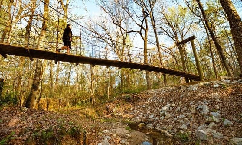 Crowley's Ridge State Park