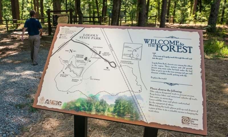 The roots of Logoly reach through the soil & into the past