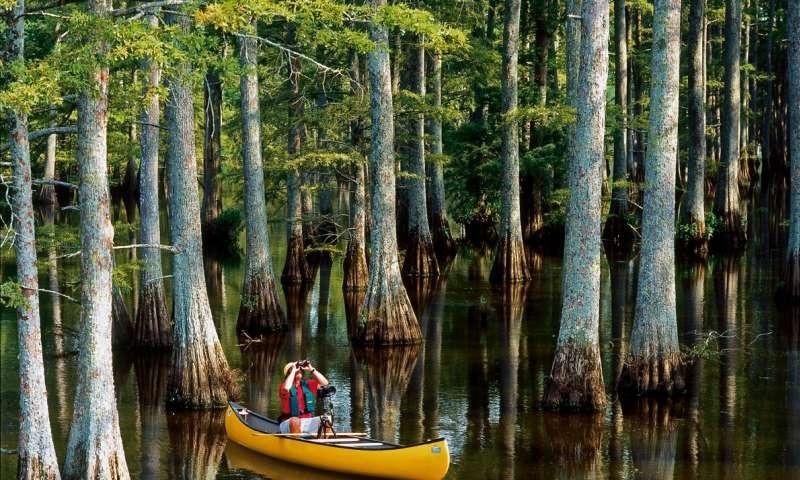 Pinnacle Mountain State Park features a diversity of habitats to explore and enjoy