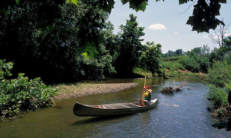 Explore the park in a canoe
