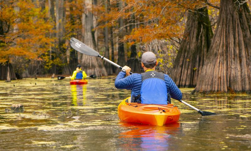 Horner Bend Lake Kayaking