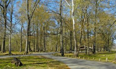 908b87f8cdfb40bd5e114470def1e509_Jenkins_Ferry_State_Park.jpeg