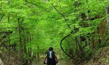 villagecreekmountainbiking.jpg