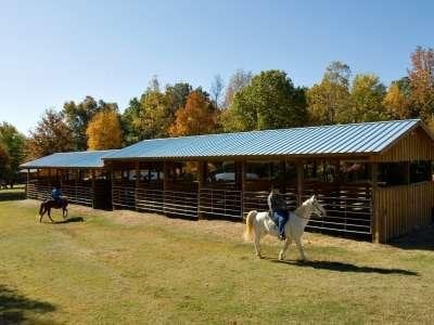 70bbcf57e26bff0f57cfd3d437351d62_Village_Creek_Horses_and_Fall_Color02 (1).jpg