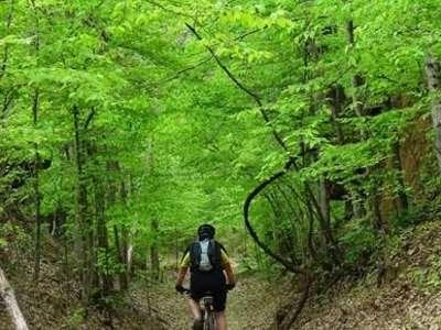 villagecreekmountainbiking.jpg