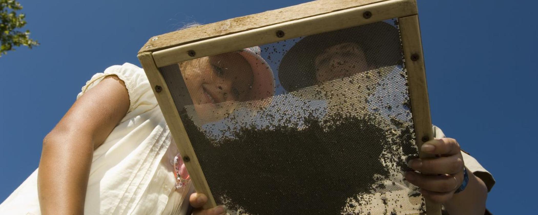 A park interpreter and child using a screen to sift for diamonds