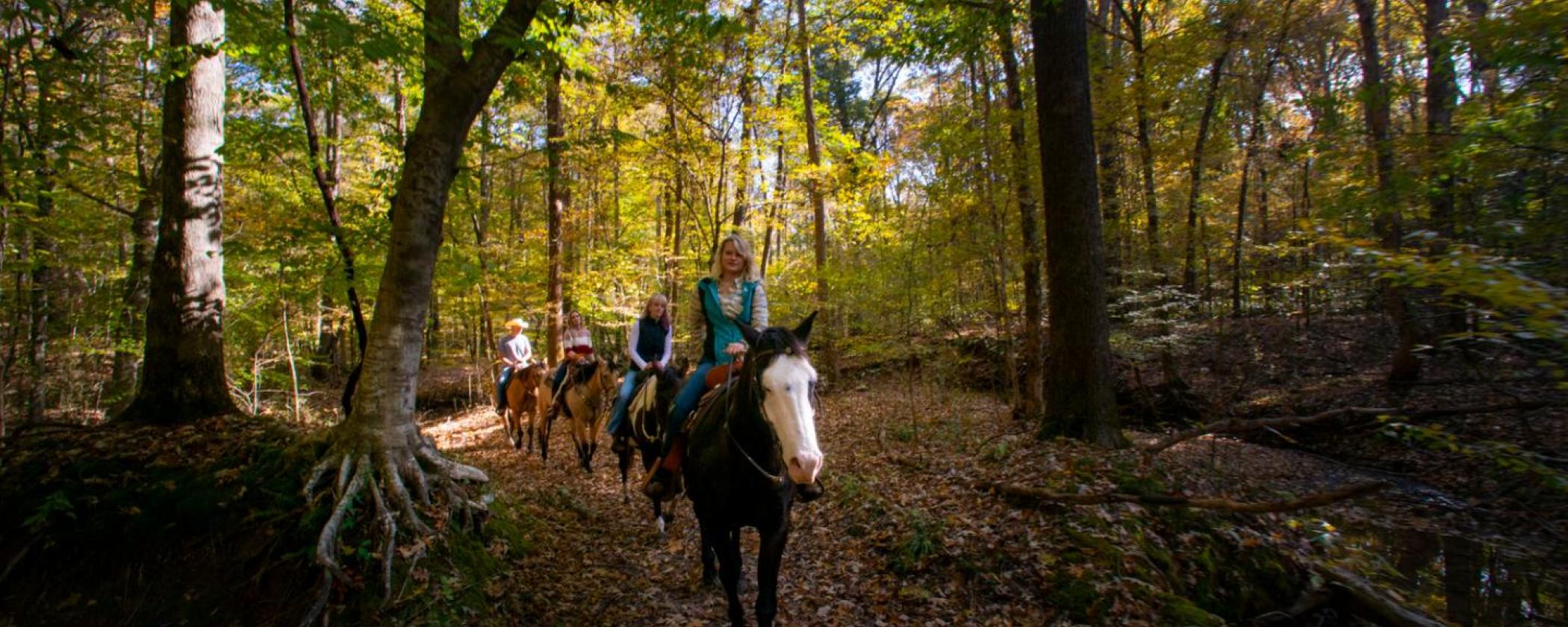 Village Creek State Park