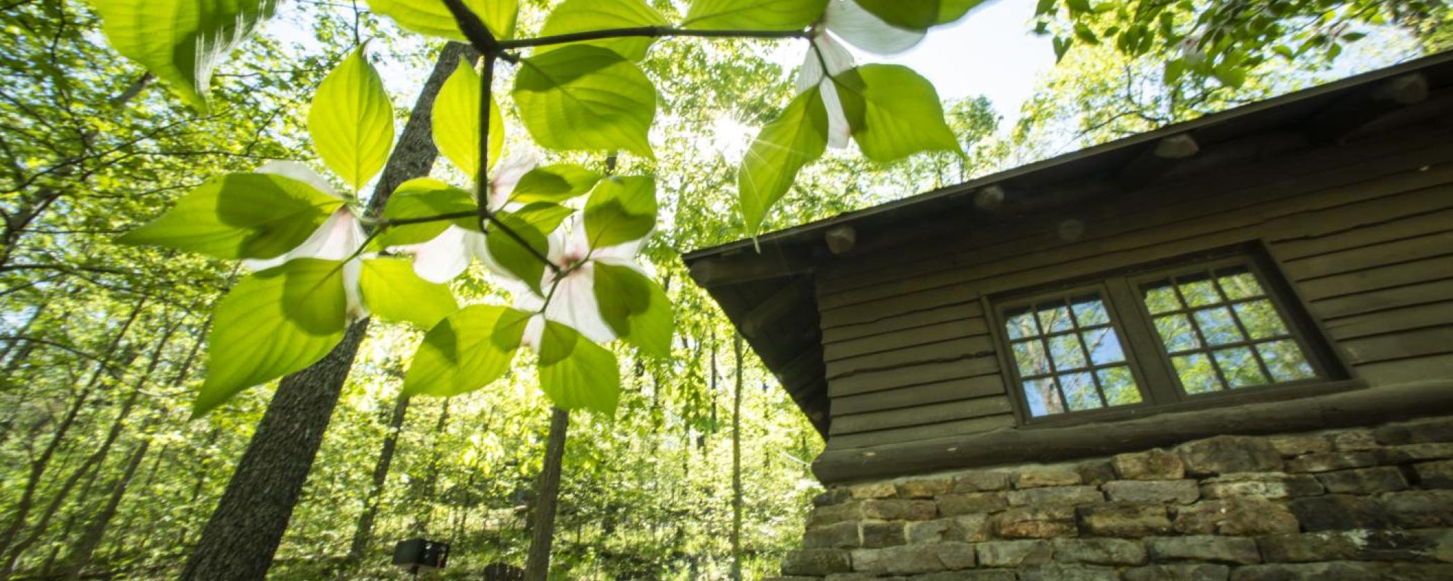 Cabin at Devil's Den State Park