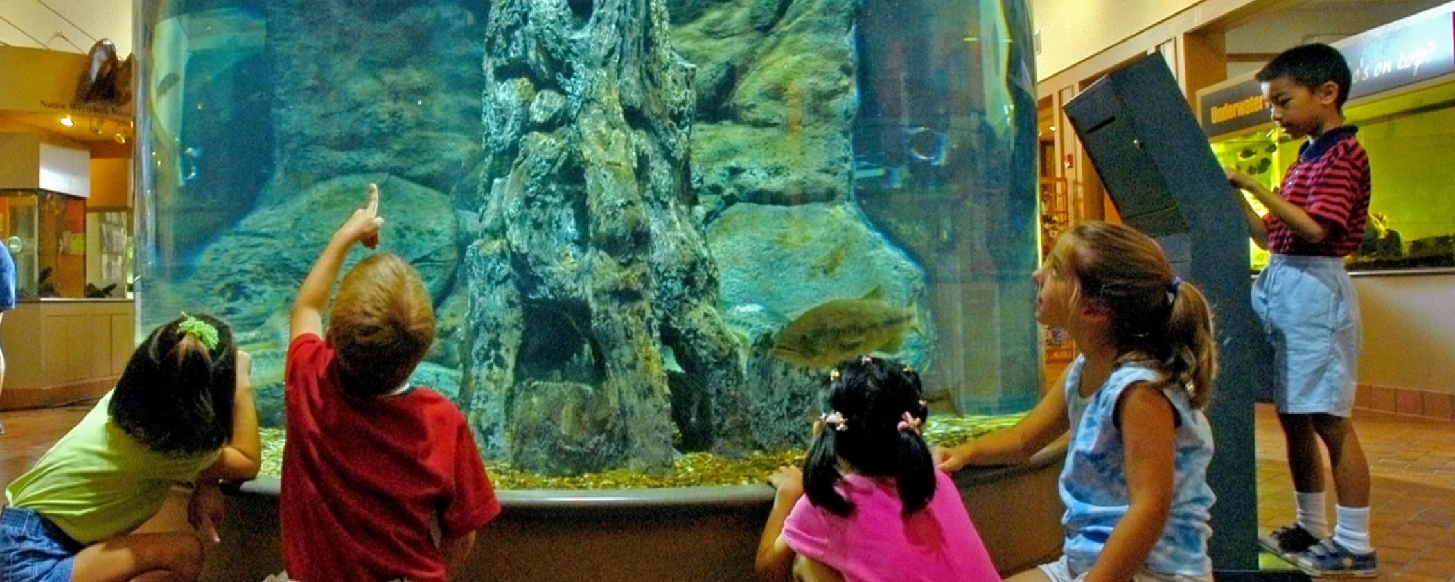 Lake Dardanelle State Park Aquarium
