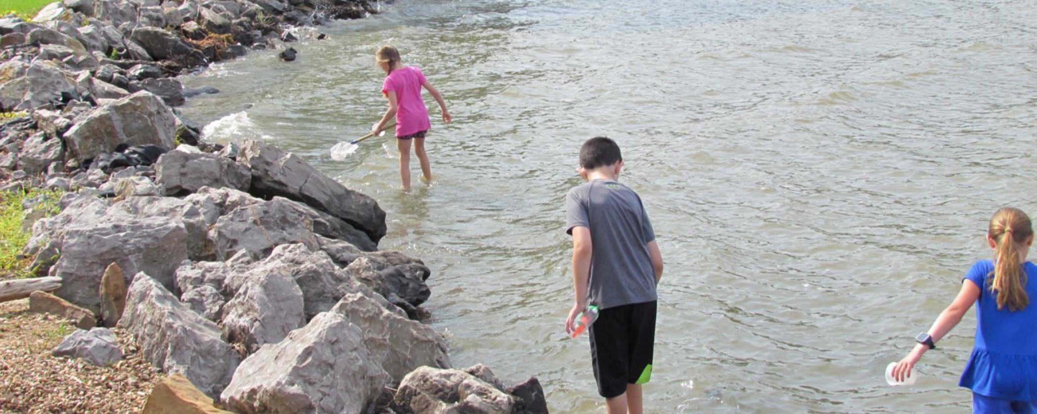 Children looking for macroinvertebrates at Lake Dardanelle State Park