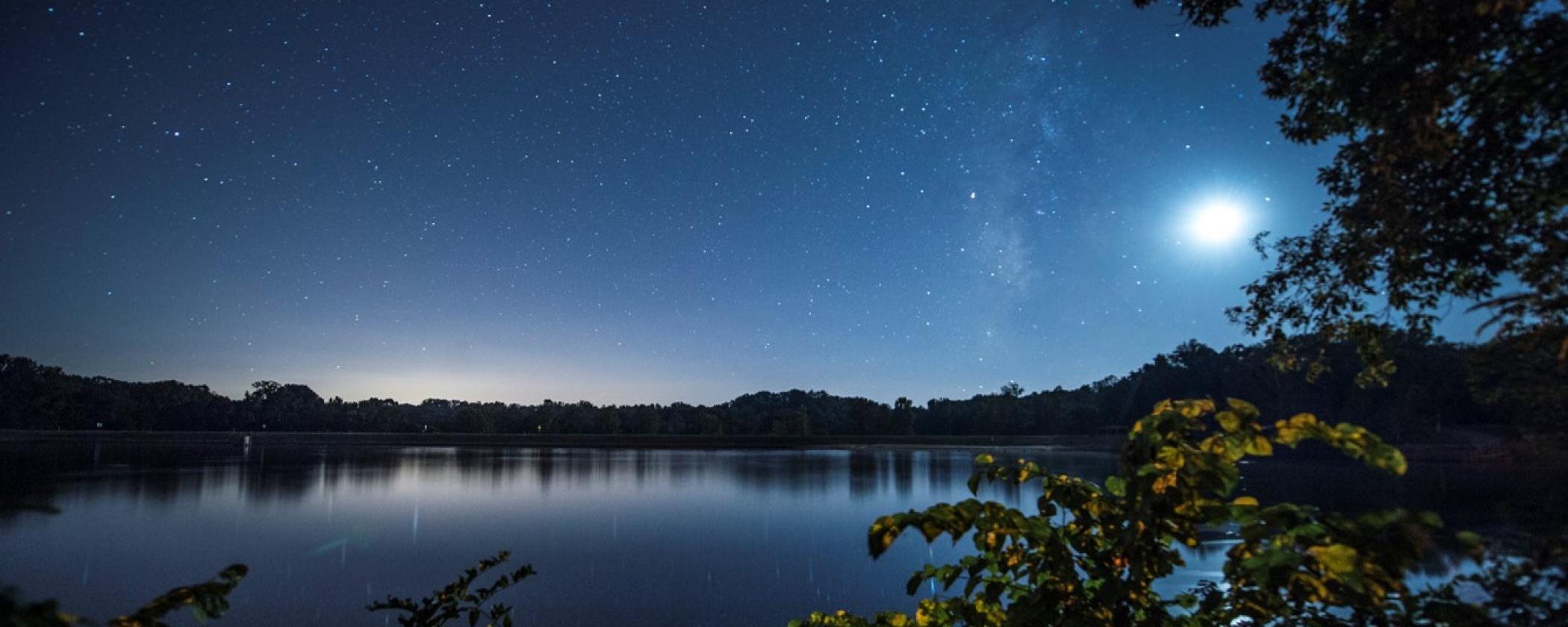 Night Sounds of Mississippi River State Park | Arkansas ...