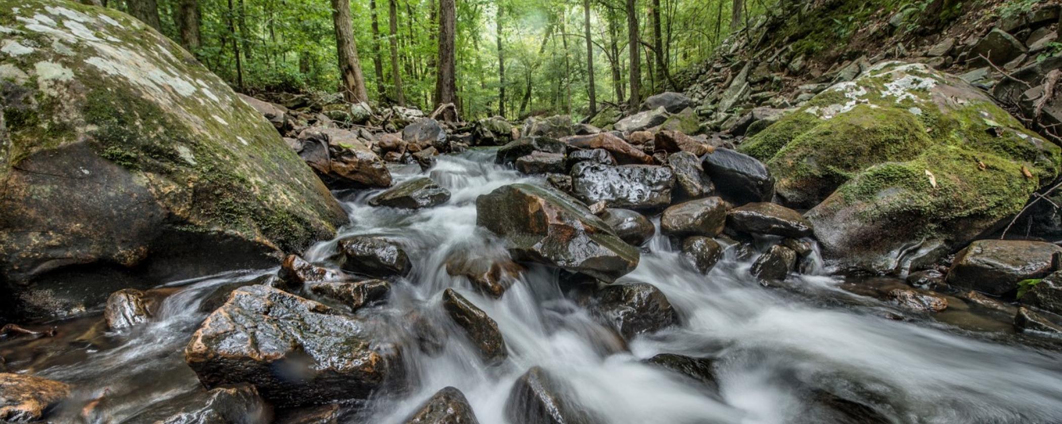 Cedar Creek Trail at Petit Jean State Park
