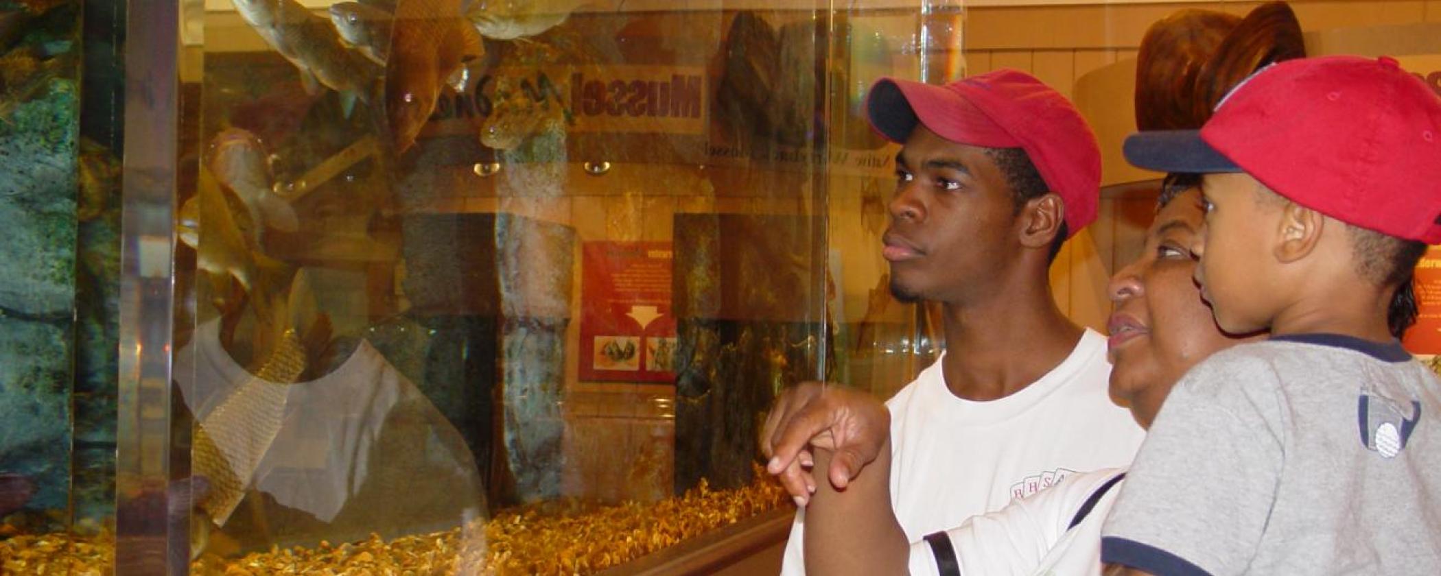 Aquarium at Lake Dardanelle State Park