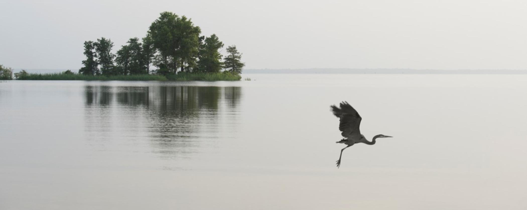 Millwood State Park