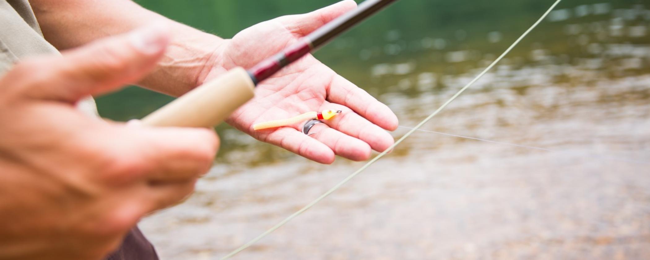 Fly Fishing at Bull Shoals-White River State Park