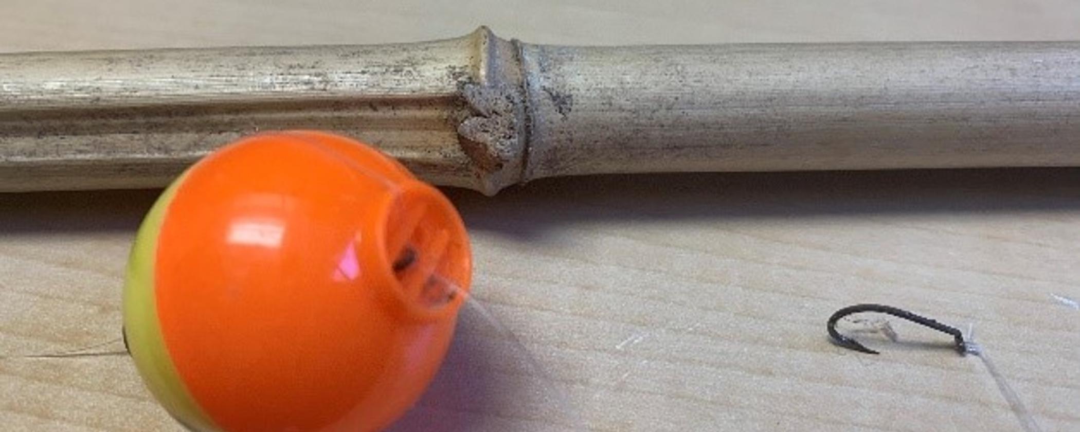 Cane pole with hook and bobber